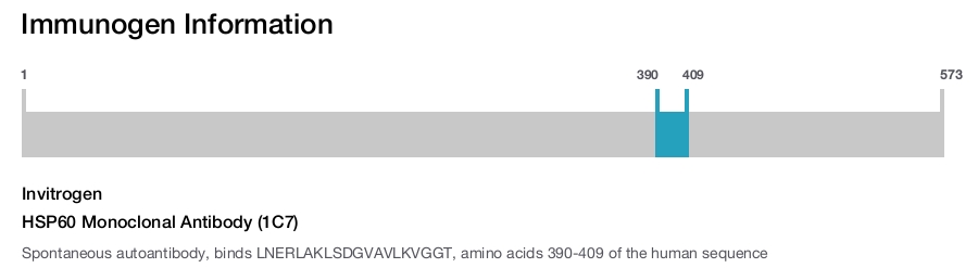 HSP60 Monoclonal Antibody (1C7)