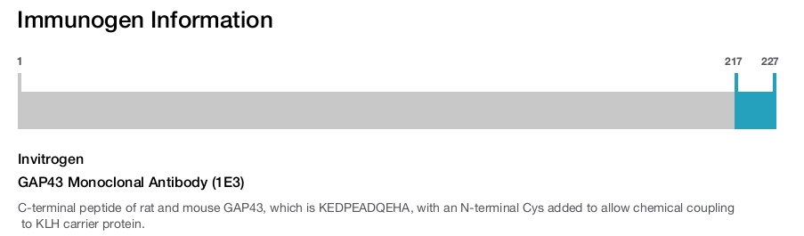 GAP43 Monoclonal Antibody (1E3)