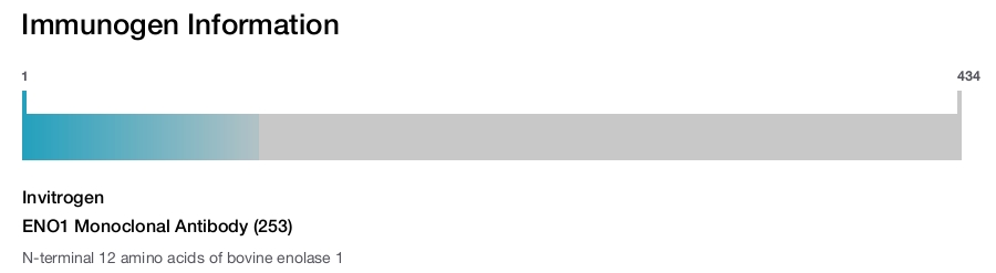 ENO1 Monoclonal Antibody (253)