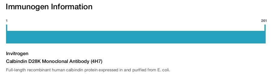 Calbindin D28K Monoclonal Antibody (4H7)