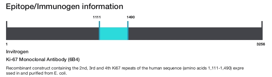 Ki-67 Monoclonal Antibody (6B4)