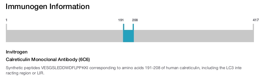 Calreticulin Monoclonal Antibody (6C6)