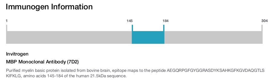 MBP Monoclonal Antibody (7D2)
