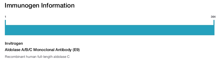 Aldolase A/B/C Monoclonal Antibody (E9)