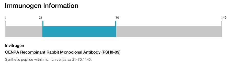 CENPA Recombinant Rabbit Monoclonal Antibody (PSH0-09)
