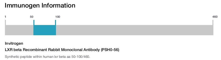 LXR beta Recombinant Rabbit Monoclonal Antibody (PSH0-56)