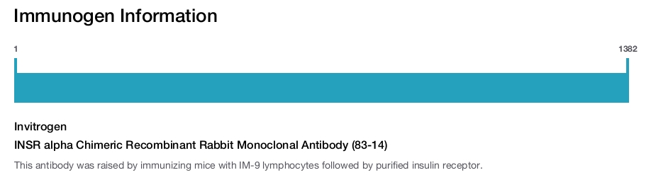 INSR alpha Chimeric Recombinant Rabbit Monoclonal Antibody (83-14)
