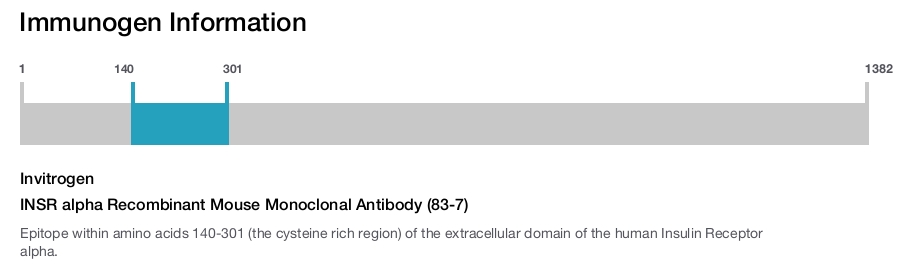 INSR alpha Recombinant Mouse Monoclonal Antibody (83-7)