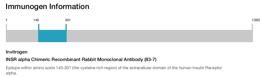 INSR alpha Chimeric Recombinant Rabbit Monoclonal Antibody (83-7)