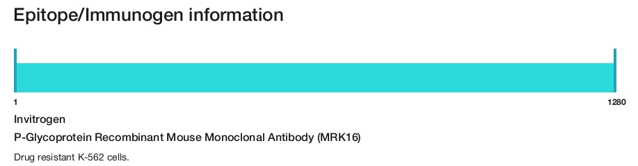 P-Glycoprotein Recombinant Mouse Monoclonal Antibody (MRK16)