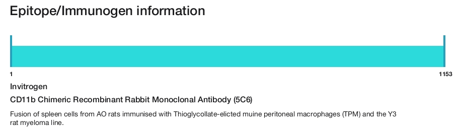 CD11b Chimeric Recombinant Rabbit Monoclonal Antibody (5C6)
