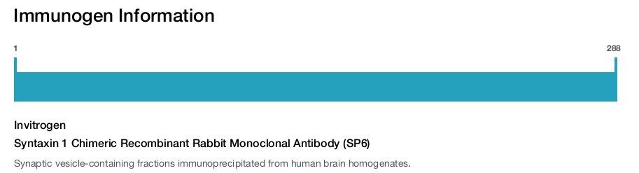 Syntaxin 1 Chimeric Recombinant Rabbit Monoclonal Antibody (SP6)