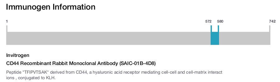 CD44 Recombinant Rabbit Monoclonal Antibody (SAIC-01B-4D8)
