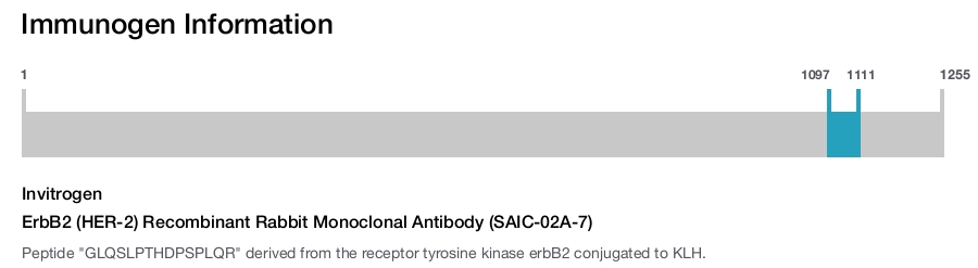 ErbB2 (HER-2) Recombinant Rabbit Monoclonal Antibody (SAIC-02A-7)