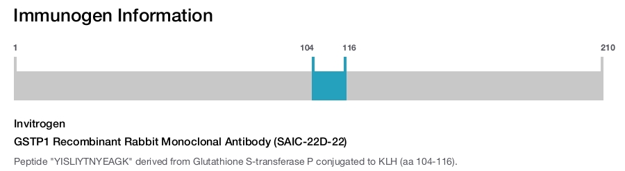 GSTP1 Recombinant Rabbit Monoclonal Antibody (SAIC-22D-22)