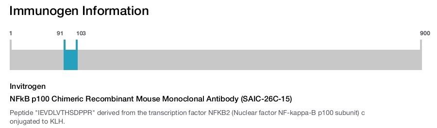NFkB p100 Chimeric Recombinant Mouse Monoclonal Antibody (SAIC-26C-15)