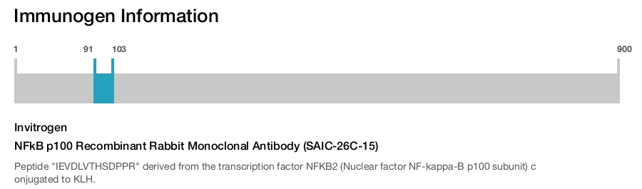NFkB p100 Recombinant Rabbit Monoclonal Antibody (SAIC-26C-15)