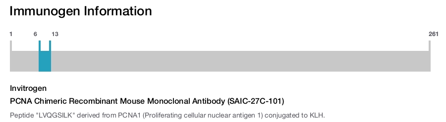 PCNA Chimeric Recombinant Mouse Monoclonal Antibody (SAIC-27C-101)