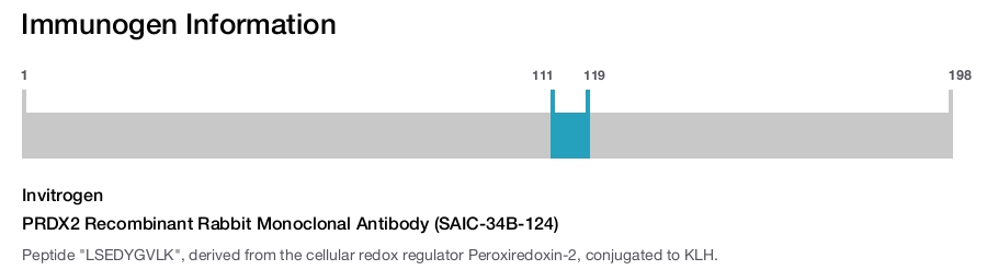 PRDX2 Recombinant Rabbit Monoclonal Antibody (SAIC-34B-124)