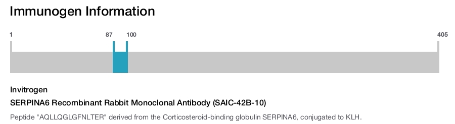 SERPINA6 Recombinant Rabbit Monoclonal Antibody (SAIC-42B-10)