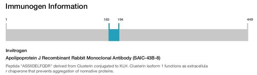 Apolipoprotein J Recombinant Rabbit Monoclonal Antibody (SAIC-43B-8)