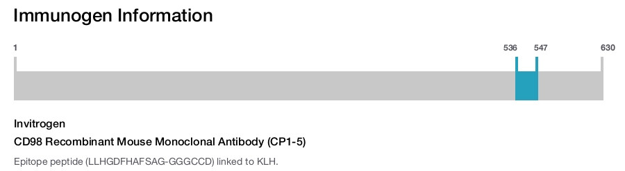 CD98 Recombinant Mouse Monoclonal Antibody (CP1-5)