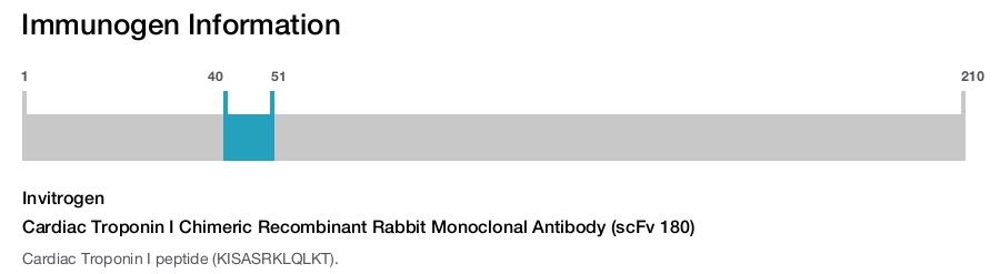 Cardiac Troponin I Chimeric Recombinant Rabbit Monoclonal Antibody (scFv 180)