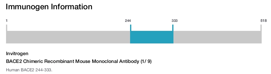 BACE2 Chimeric Recombinant Mouse Monoclonal Antibody (1/ 9)
