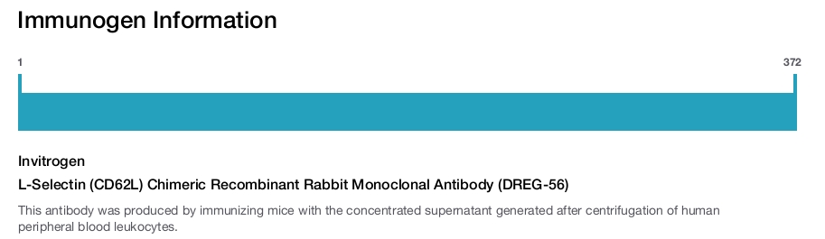 L-Selectin (CD62L) Chimeric Recombinant Rabbit Monoclonal Antibody (DREG-56)