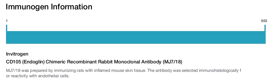CD105 (Endoglin) Chimeric Recombinant Rabbit Monoclonal Antibody (MJ7/18)