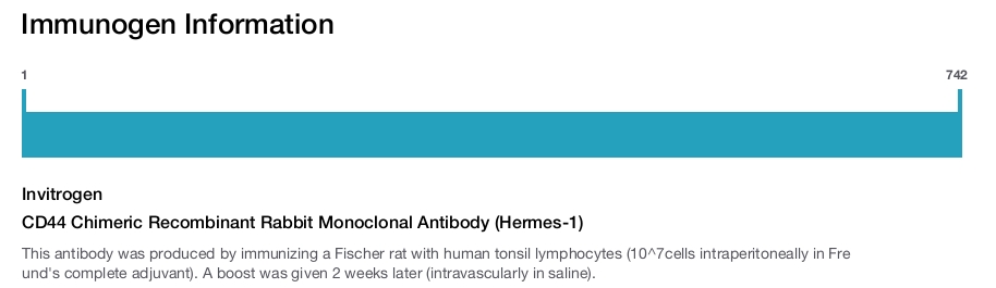 CD44 Chimeric Recombinant Rabbit Monoclonal Antibody (Hermes-1)