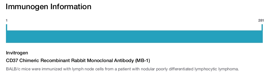 CD37 Chimeric Recombinant Rabbit Monoclonal Antibody (MB-1)