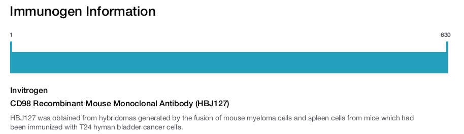 CD98 Recombinant Mouse Monoclonal Antibody (HBJ127)