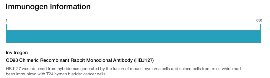 CD98 Chimeric Recombinant Rabbit Monoclonal Antibody (HBJ127)
