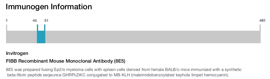 FIBB Recombinant Mouse Monoclonal Antibody (8E5)