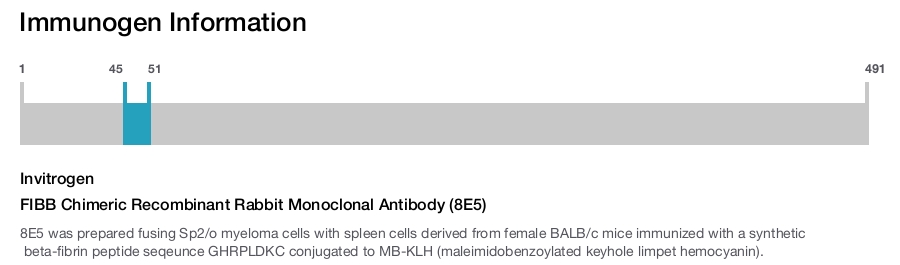 FIBB Chimeric Recombinant Rabbit Monoclonal Antibody (8E5)