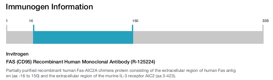 FAS (CD95) Recombinant Human Monoclonal Antibody (R-125224)