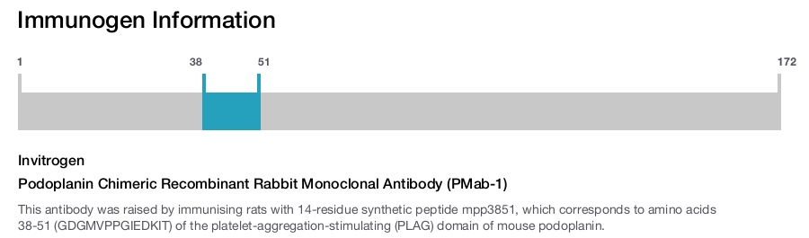 Podoplanin Chimeric Recombinant Rabbit Monoclonal Antibody (PMab-1)