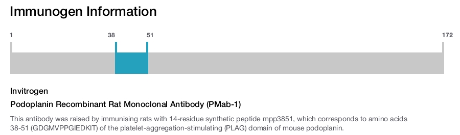 Podoplanin Recombinant Rat Monoclonal Antibody (PMab-1)