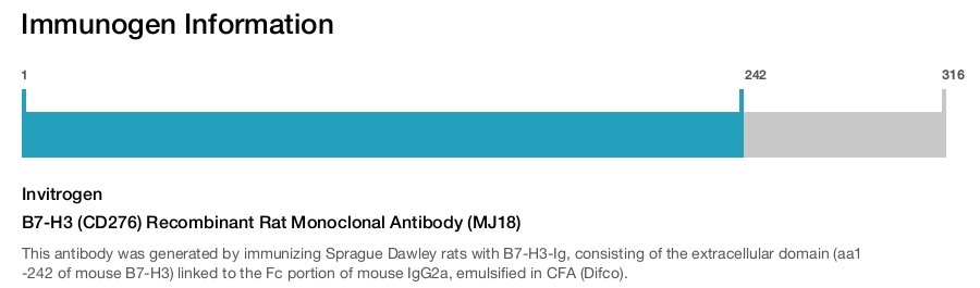 B7-H3 (CD276) Recombinant Rat Monoclonal Antibody (MJ18)