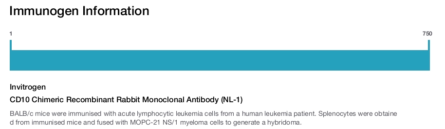 CD10 Chimeric Recombinant Rabbit Monoclonal Antibody (NL-1)
