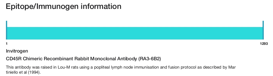 CD45R Chimeric Recombinant Rabbit Monoclonal Antibody (RA3-6B2)