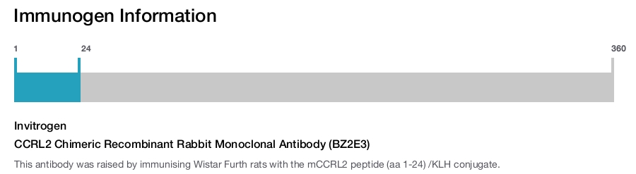 CCRL2 Chimeric Recombinant Rabbit Monoclonal Antibody (BZ2E3)