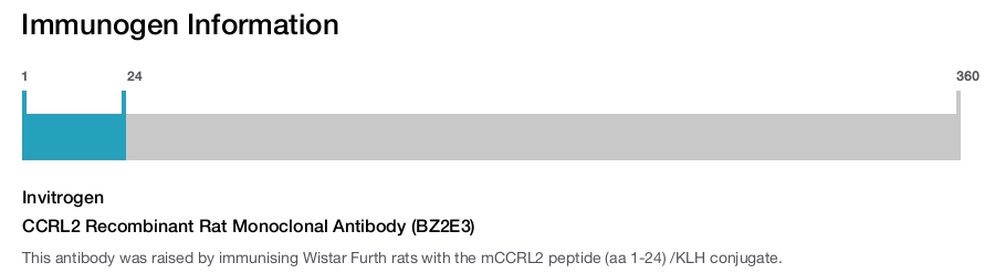 CCRL2 Recombinant Rat Monoclonal Antibody (BZ2E3)
