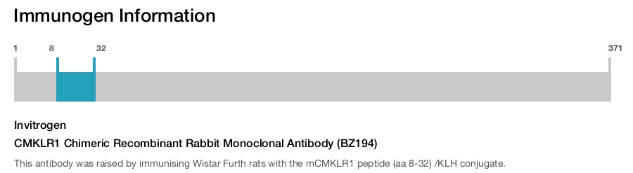 CMKLR1 Chimeric Recombinant Rabbit Monoclonal Antibody (BZ194)