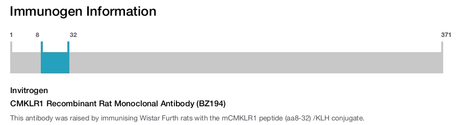 CMKLR1 Recombinant Rat Monoclonal Antibody (BZ194)