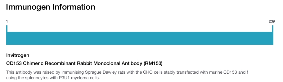CD153 Chimeric Recombinant Rabbit Monoclonal Antibody (RM153)
