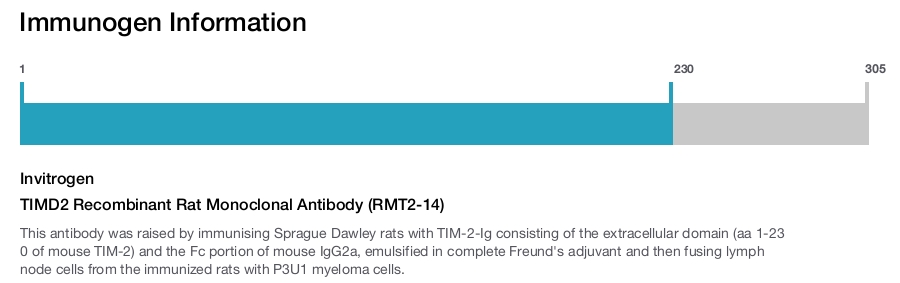 TIMD2 Recombinant Rat Monoclonal Antibody (RMT2-14)