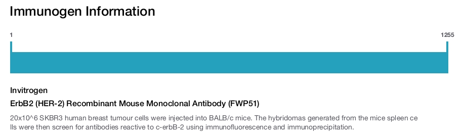 ErbB2 (HER-2) Recombinant Mouse Monoclonal Antibody (FWP51)