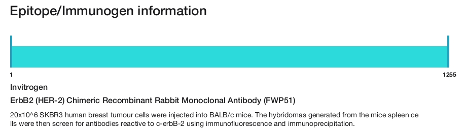 ErbB2 (HER-2) Chimeric Recombinant Rabbit Monoclonal Antibody (FWP51)